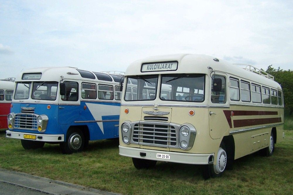 Az Ikarus 31-esek gyakran feltűnnek a hazai nosztalgia-buszos rendezvényeken