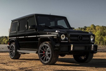 Tigris a vízben, cápa a dzsungelben