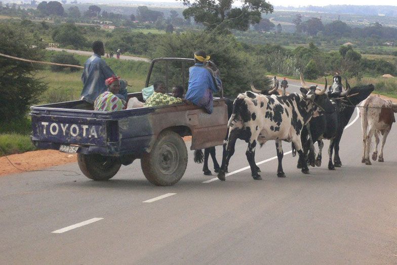 Afrikába hajózik a magyar roncsautó 4