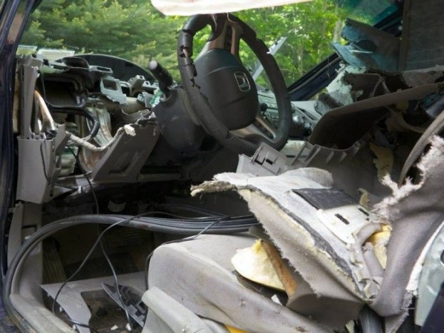 Lenullázta a Honda utasterét a medve 8