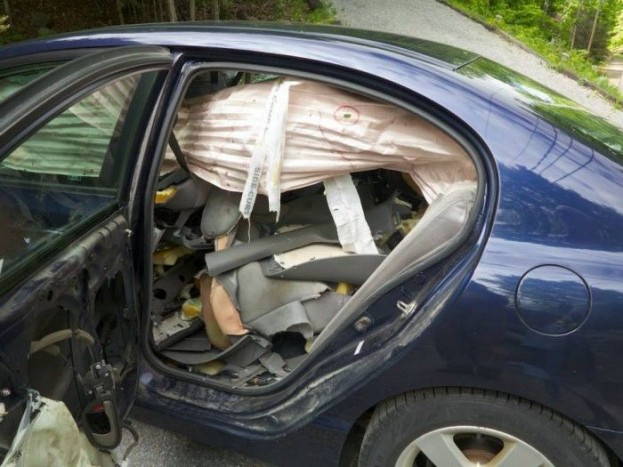 Lenullázta a Honda utasterét a medve 6