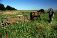 2. Bulgária, 187 liter. Az Európai Unió országai között Bulgáriában a második legalacsonyabb az átlagos jövedelem, ami a második legalacsonyabb benzinkvótára elég