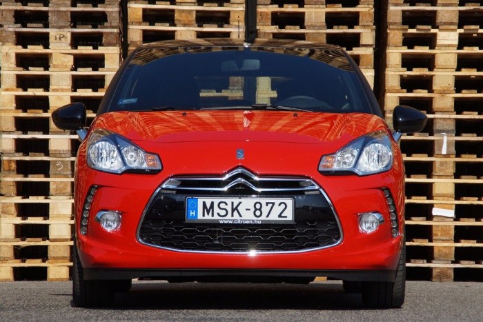 Pufi, a maga módján sportos, szerethető pofija van elég sportos a fiúknak és van elég kedves a lányoknak