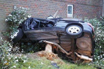 Felnyársalta az autót a kidöntött fa