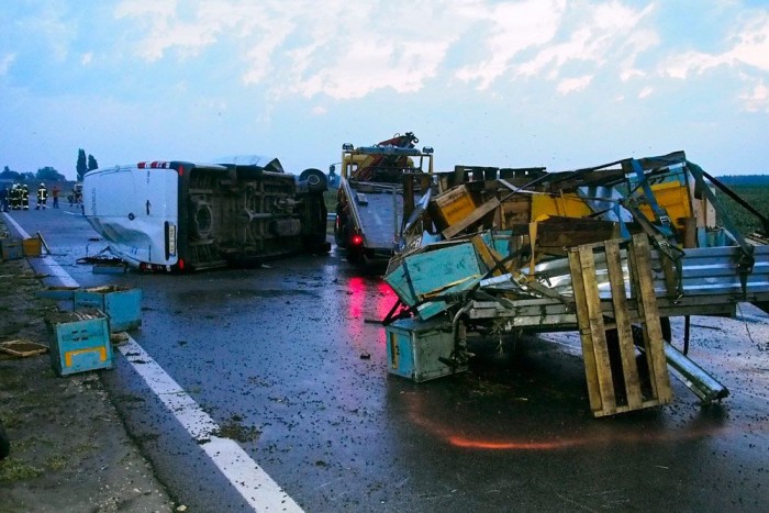 A nap képe – méhek szabadultak el az M5-ösön 6