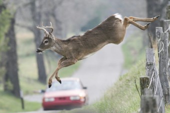 4 tanács, amit megfogadsz, ha kedves az autód élete