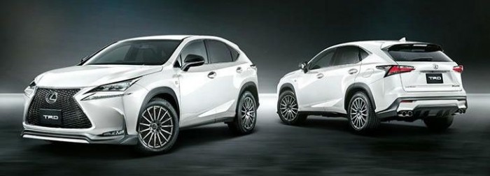 Fenébe az elegánssal, éljen a dög! 6