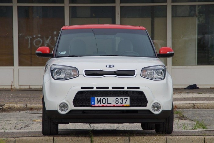 Vidám, agressziómentes, de feltűnő és kedves a pofija