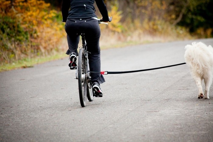 10 KRESZ-szabály, amit tuti nem ismer senki 13