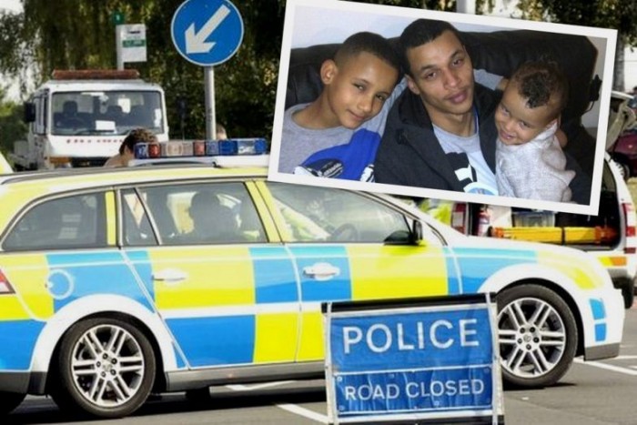 A legcukibb állat, amit valaha elgázoltak 9