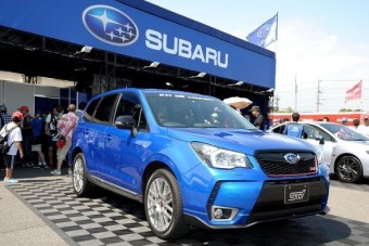 Mindennapi vadállat