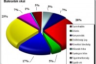 Jól zárult a nyár a közlekedésben 6