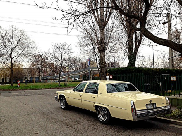 Olvasói verdák – Akik valóra váltották álmaikat 7