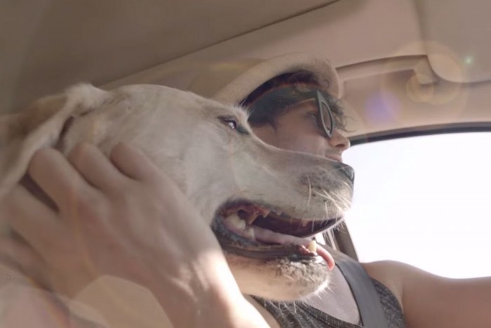 Az ittas vezetés elleni legmenőbb reklám