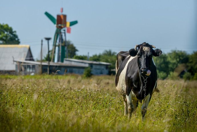 Roncsokból épített szélerőművet 4