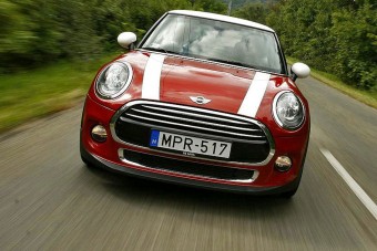 Megőrültél, kishaver?