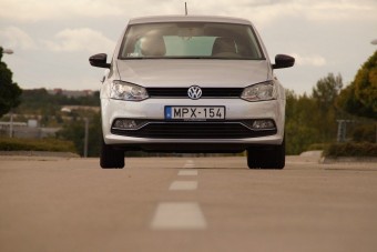 Ragyogó szürkeség