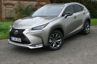 Forradalmár vagy csendestárs?