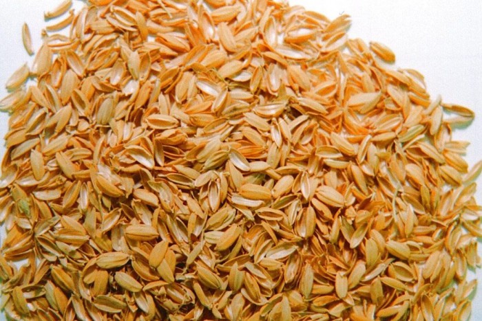 Rizsmaradék kerül a gumiba 3