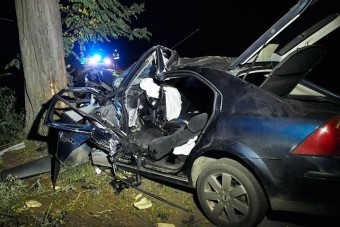 A nap képe - fának ütközött egy autó Csongrádban