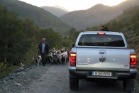 Jólnevelten lehúzódunk, hadd menjen a kecskés bácsi