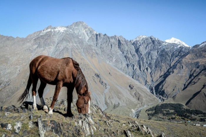 Luxusautóval Azerbajdzsánba 23 | Vezess Az egyre több turista által elköltött pénz mellett még mindig az állattartás az egyetlen megélhetési lehetőség Grúzia vadregényes tájain.