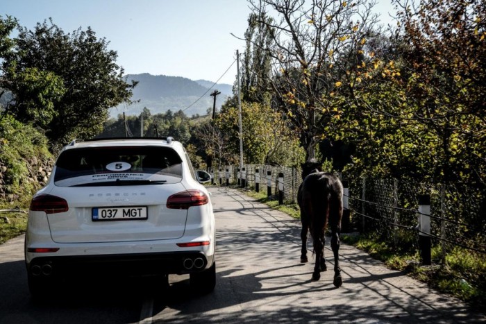 Luxusautóval Azerbajdzsánba 12 | Vezess A háziállatok minden válfaja előfordult az országutakon, tyúkok, disznók, bárányok, tehenek és lovak mellett kellett lavírozni.