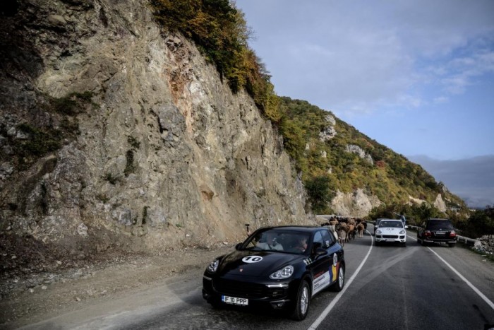 Luxusautóval Azerbajdzsánba 29 | Vezess A tehéncsordák kerülgetése mindhárom országban része a mindennapi közlekedésnek.