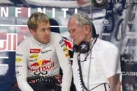 Vettel: Nyerhettem volna az idén 10