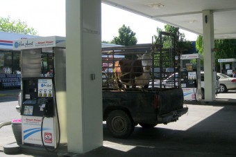 A hely, ahol drágább a tej, mint a benzin