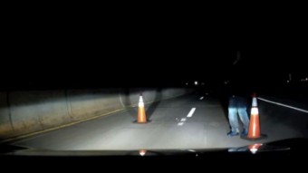 Hidegrázós felvétel rejtélyes útonállóval