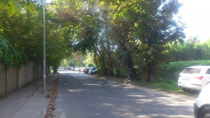 A kép bal oldalán álló autók nem kaptak bírságot, a jobb oldali fehér kocsi már igen