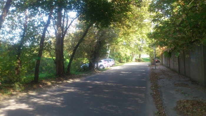 Így nem fizettem tízezer forintot a parkolásért 3 A megállást tábla nem tiltotta, parkolási zónát sem útburkolati jel, sem felfestés, sem tábla nem jelezte, az autók pedig az úttestet elhagyva várakoztak.