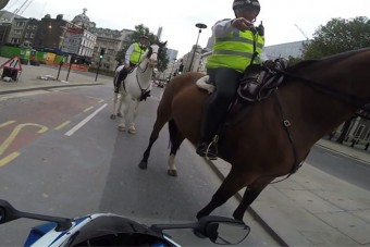 Lovasrendőr kapcsolta le a motorost