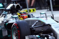 F1-es versenyző lesz a ralilegenda fia 55