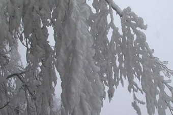 Lezárták a 3-as utat Budapest és Gödöllő között