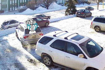 Az év legbénább parkolása egy BMW volánja mögött