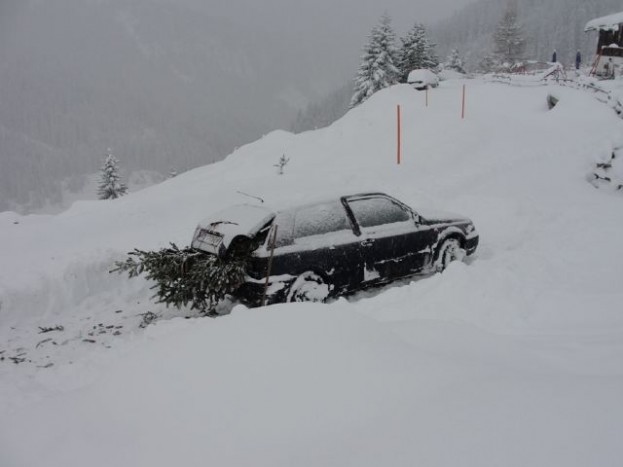 5 tuti módszer, hogyan vidd haza a karácsonyfát 16