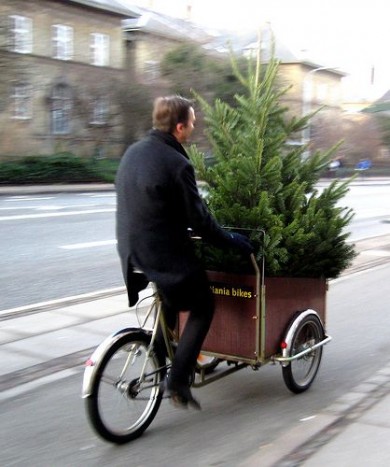 5 tuti módszer, hogyan vidd haza a karácsonyfát 8