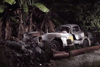 Ritka sirályt találtak Kubában