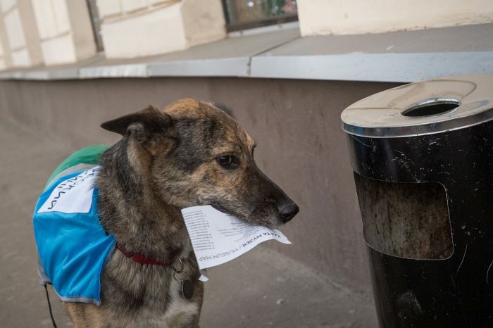 Kutyákkal a szabálytalanul parkolók ellen 11