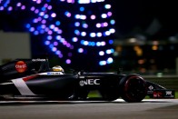 F1: Főszponzor nélkül is elvan a McLaren 59