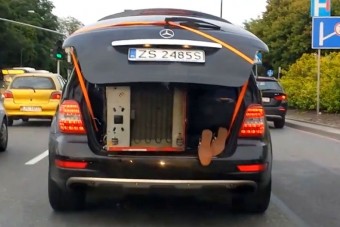 Na, apjuk kucorodj be a hűtő mellé