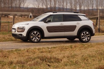 Bologató Cactus: szerethető, pedig nem érdemli meg