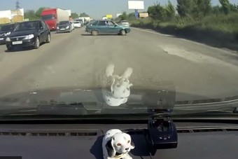 Azt hiszed Ladával mindent lehet? Gondold újra