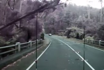 Félelmetes, ahogy kártyavárként dől az útra az erdő