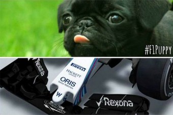 F1: A Williams orrán gúnyolódik a Lotus