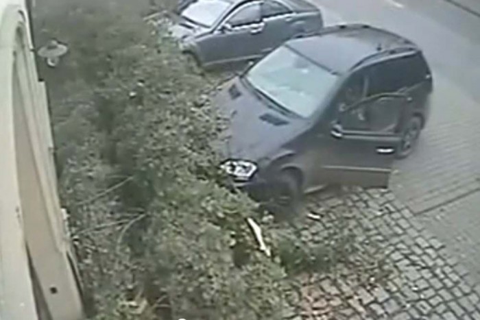 Fa dőlt a Mercire, de nem akárhogy