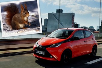 Mókusok falták fel a Toyotát