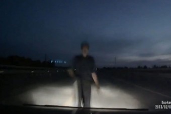 Sokkoló meglepetés az út közepén